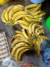 plantain bananas