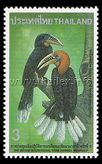 Rufous-necked Hornbill (Aceros nipalensis)