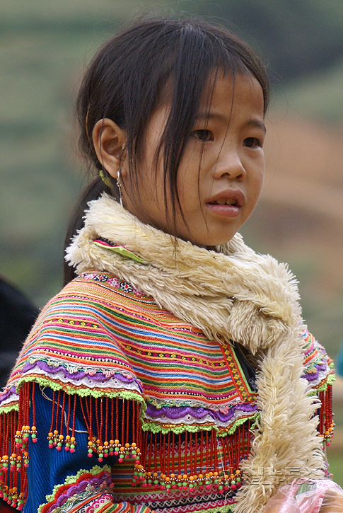 Flower Hmong Girl, Can Cau (Vietnam)